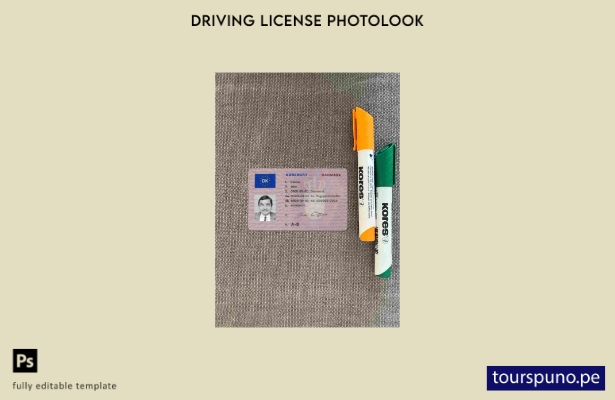 listo para imprimir licencia de conducir de Dinamarca ()plantilla FRONTAL photol